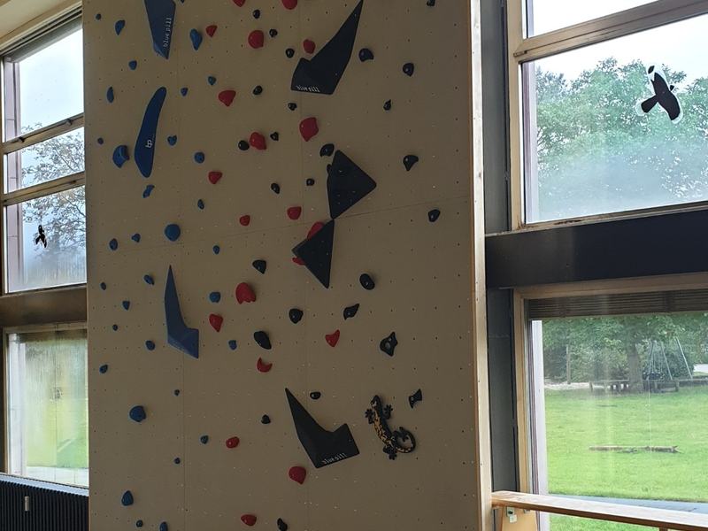 Kletterwand: Kinder- und Jugendpsychiatrie Rotenburg (Wümme)